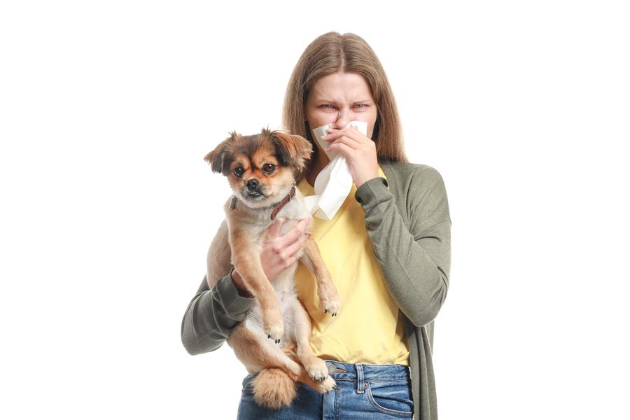 Tienes alergia a tu perro? nota de estos consejos!