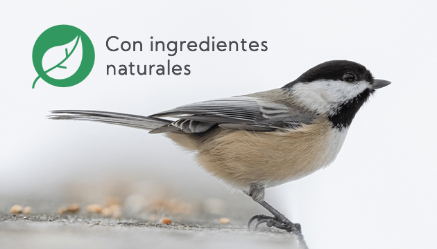 Beneficios del repelente de insectos para pájaros